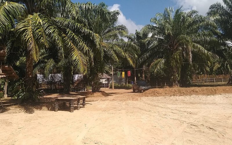 Independent Bar Palm Garden