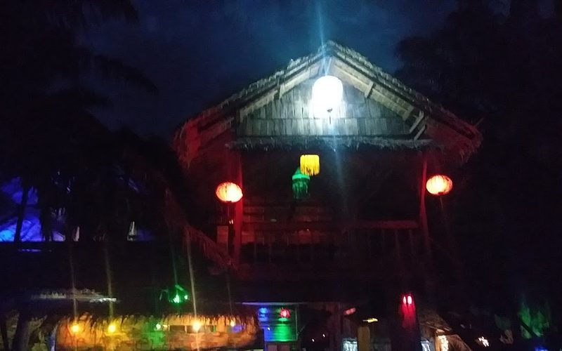 Independent Bar Palm Garden