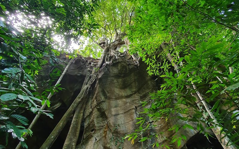 Klong Chak Bat Cave
