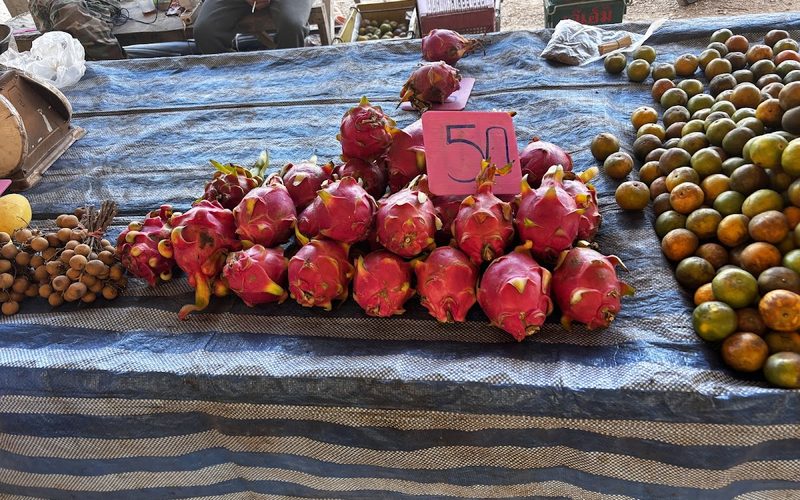 Tuesday Market
