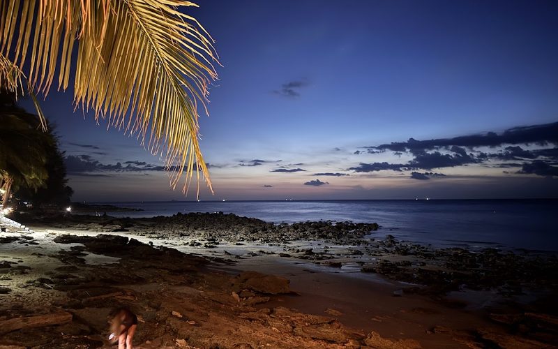 Turtle Beach Bar